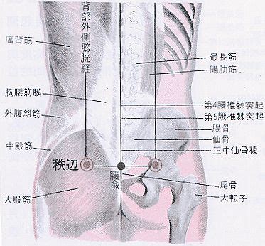 囪會穴|醫砭 » 經穴庫 » 臑會